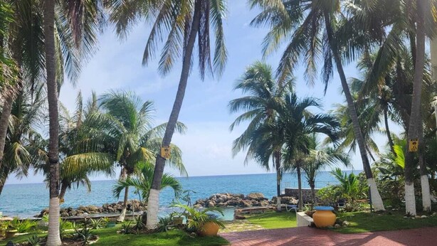 A poolside area with lounge chairs, palm trees, and a view of the ocean. - Charming 1-bedroom in Tower Isle St Mary: AC, WiFi, pool, and a serene retreat. (Tower Isle)