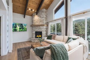 Smart TV, chimenea y libros