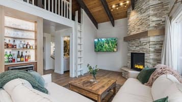 Smart TV, fireplace, books