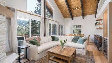 Smart TV, chimenea y libros