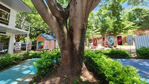 A tree-lined courtyard with a building, a small structure with a blue roof, and several playing card signs.