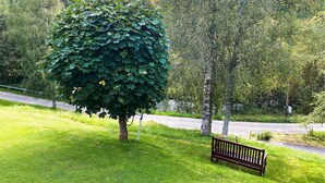 A bench in a park with a large tree and a road in the background. - Nice home in Sävsjö with WiFi (Sävsjö)