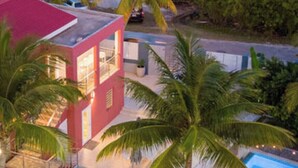 Una casa moderna con piscina, rodeada de palmeras y un césped cuidado.