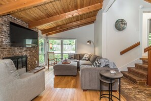 Smart TV, fireplace, books