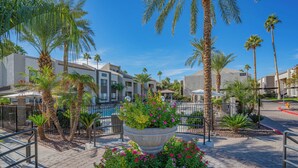 A courtyard with palm trees, a large planter with flowers, and modern buildings in the background.