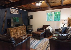 Smart TV, fireplace, books