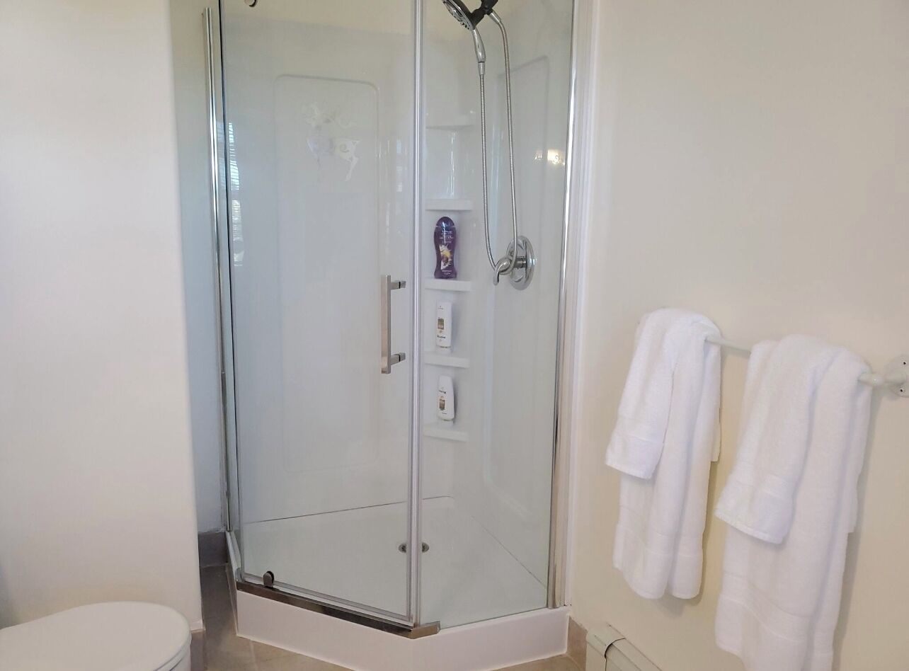 Hair dryer, towels, soap, shampoo