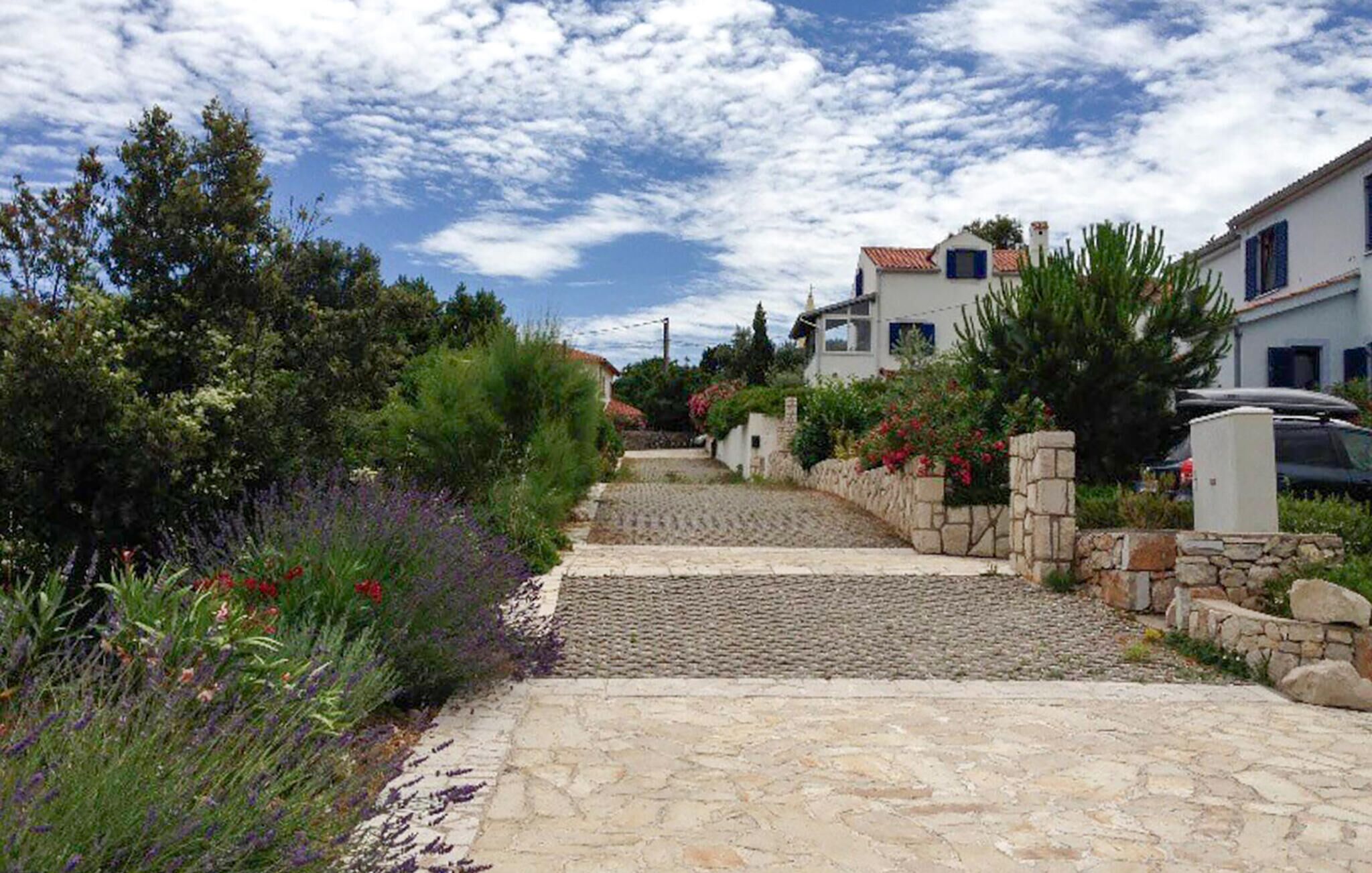 A cobblestone pathway leading to a row of houses with stone walls and red flowers.