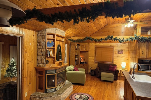 Una Smart TV, una chimenea, libros