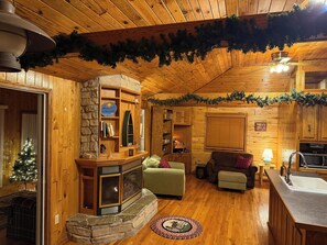 TV connectée, cheminée, livres