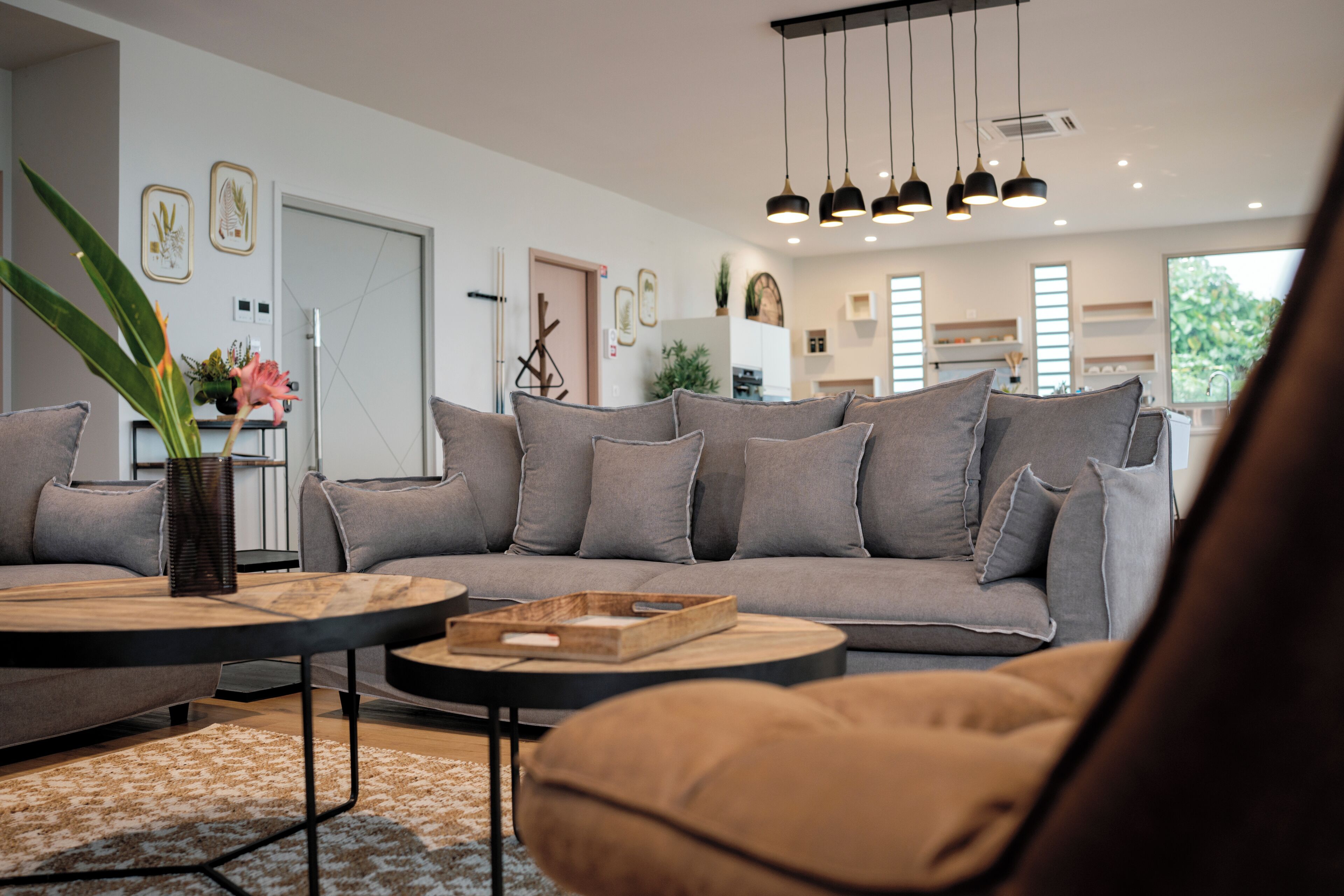 A modern living room with a grey sofa, a coffee table, and a plant.