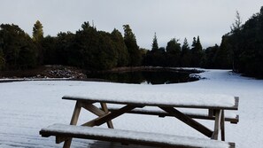 Property grounds - MJ's Retreat, Stunning  Tongariro crossing accommodation.
Private and secure.  (Horopito)