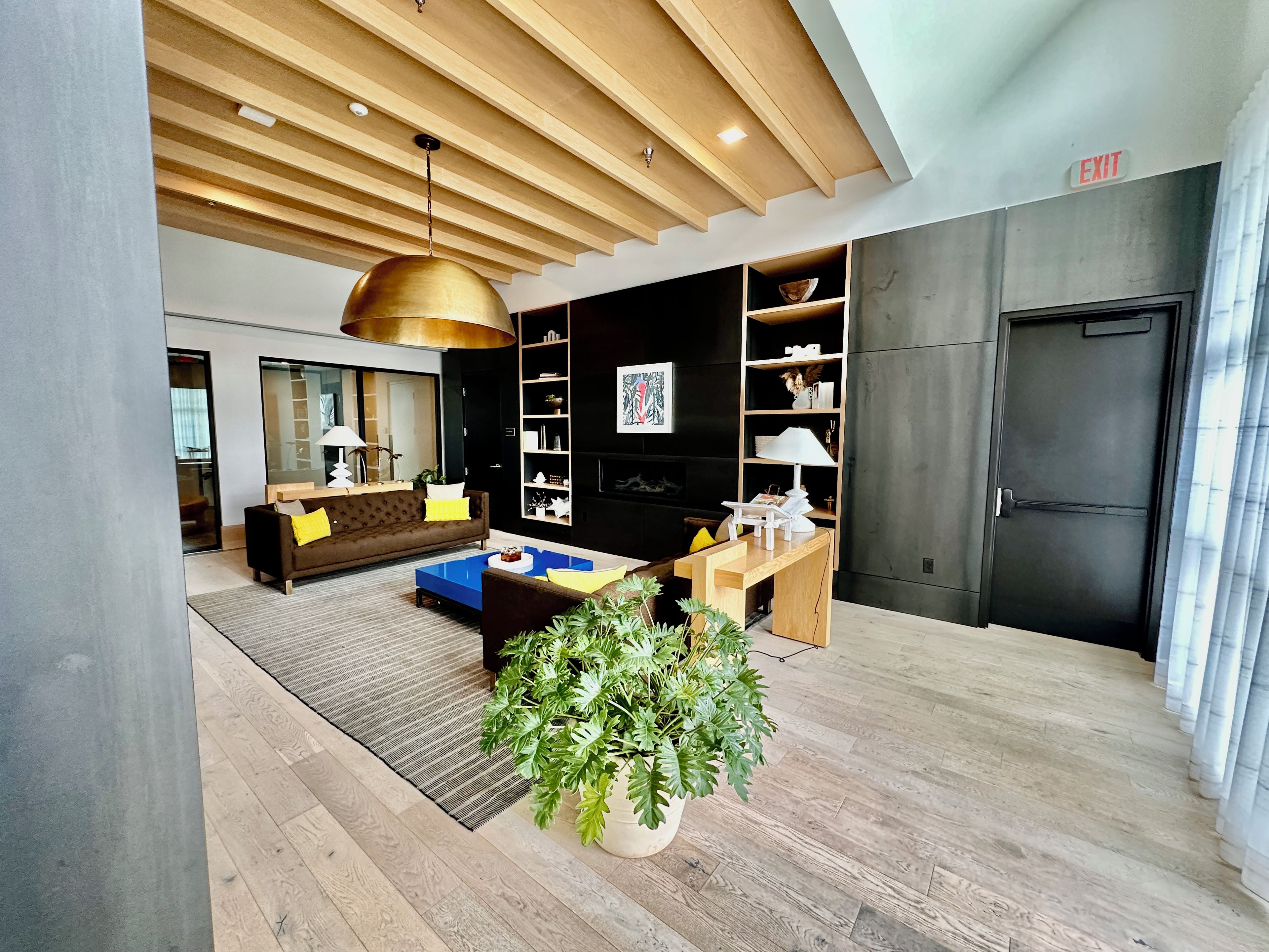 Un salon moderne avec un canapé, une table basse et une grande plante en pot.