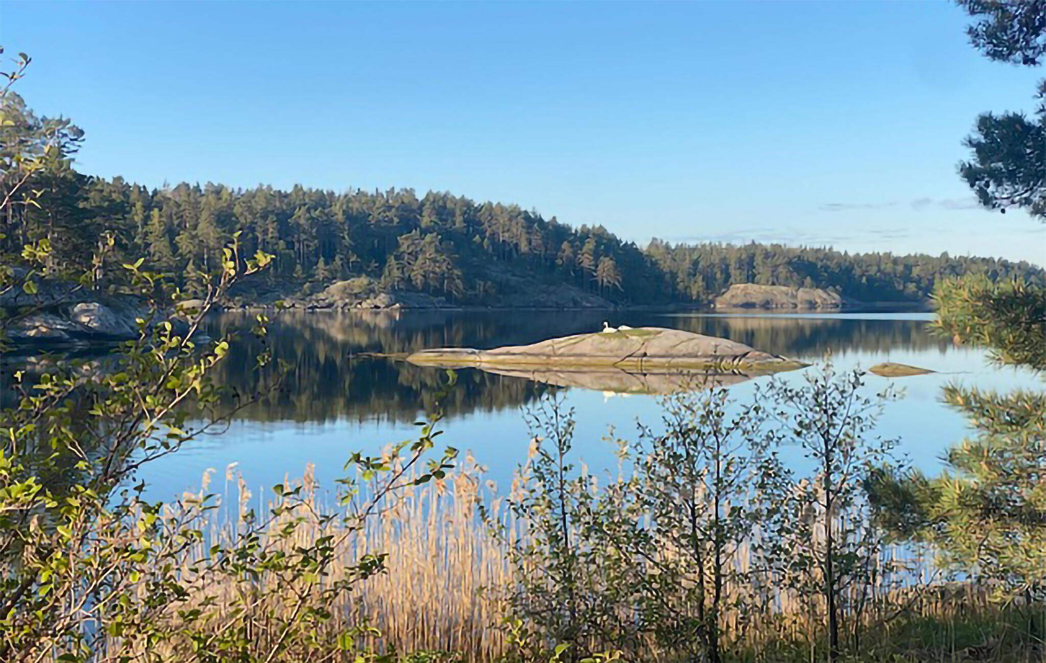 A calm lake surrounded by dense forest and a rocky outcrop.