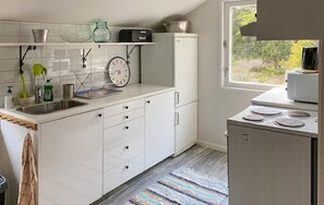 Fridge, stovetop