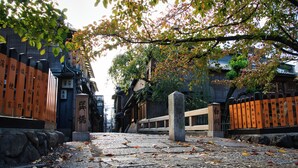 A stone pathway leading to a traditional Japanese gate with inscriptions. -  Nijo-Ouan (Kyoto)
