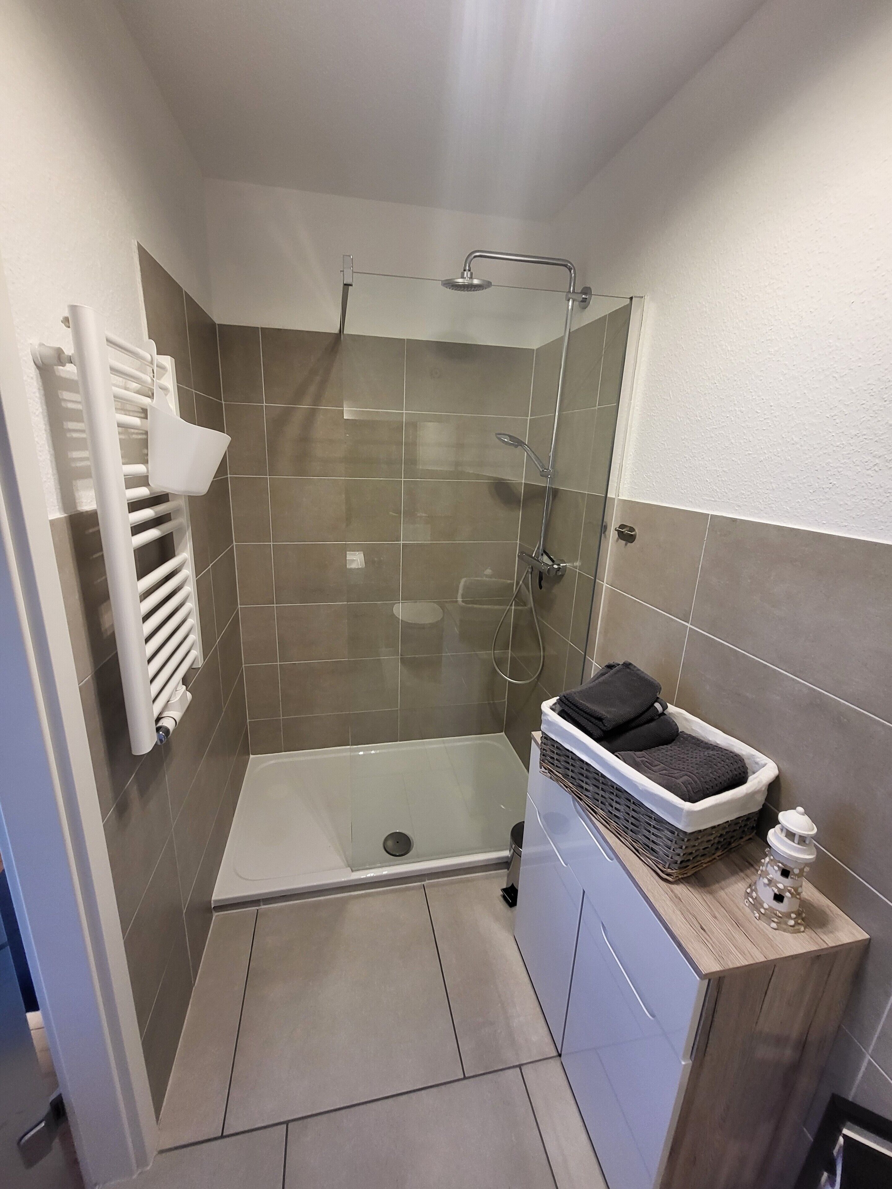 Shower, hair dryer, towels