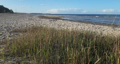 Apartment 'Öko Fewo Lachmöwe' with Balcony and Wi-Fi
