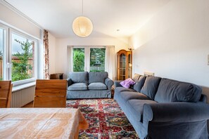 A living room with a grey sofa, a patterned rug, and a view through the window.