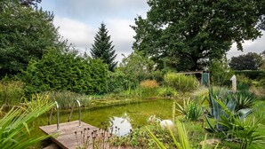 Ein Teich mit einer Holzsteganlage, umgeben von üppigem Grün und verschiedenen Pflanzen.