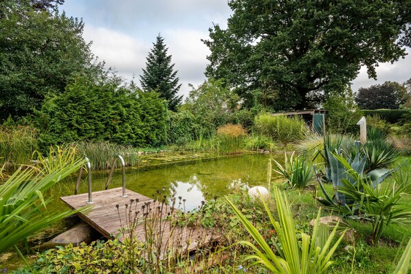 A pond with a wooden dock, surrounded by lush greenery and various plants.