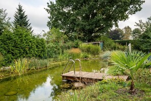 A pond with a wooden dock, surrounded by lush greenery and trees.