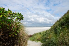 A coastal path leading to a beach with dunes and vegetation.