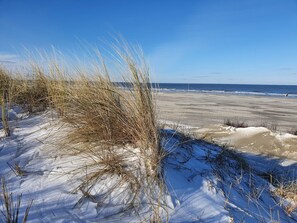 A beach with sand and sparse vegetation. - Apartment 'Haus Admiral - Fewo Südwind' with Sea View, Private Terrace and Wi-Fi (Spiekeroog)