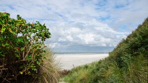 Un sendero costero que lleva a una playa con dunas y vegetación.