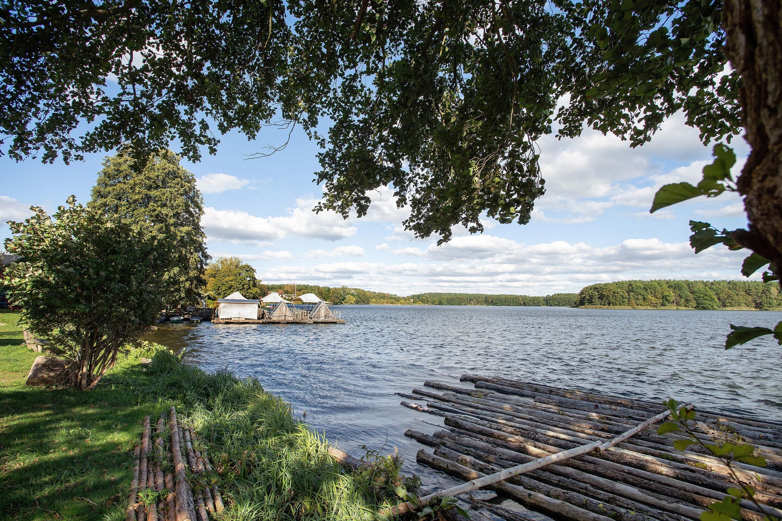 A lakeside view with a dock, a large tree, and a distant building with a covered area.