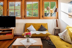 TV, table tennis - Apartment 'Panorama View' with Shared Terrace, Garden and Wi-Fi (Horben)