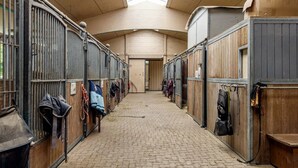 Un establo con boxes individuales, cada uno con una puerta y una manta para caballos colgada en la pared.