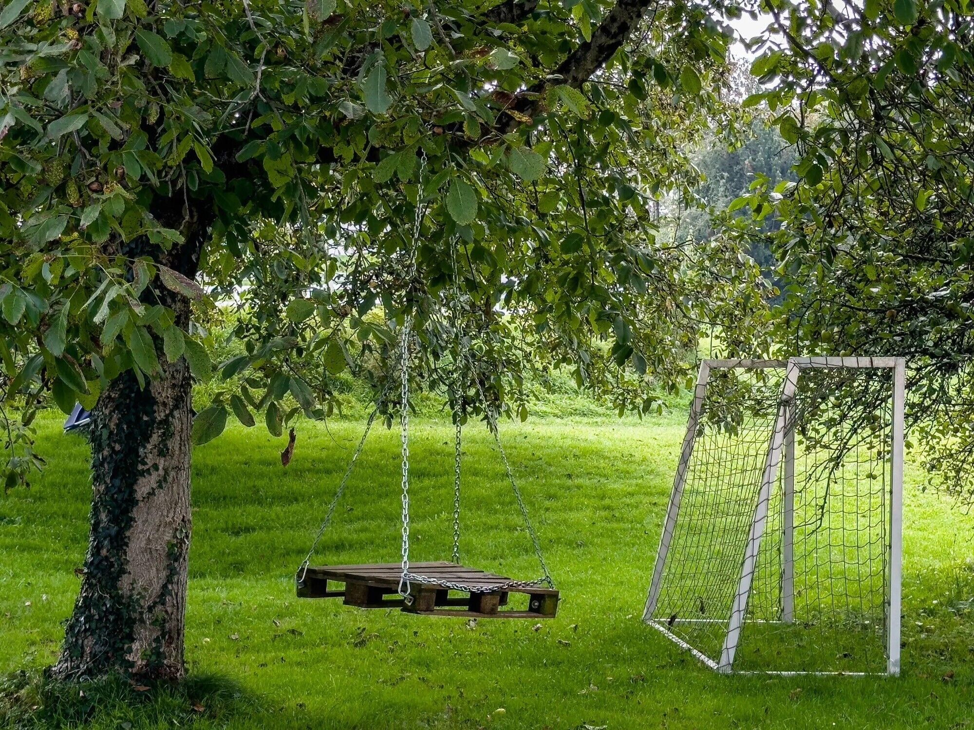 Un columpio bajo un árbol, con un arco de fútbol al fondo.