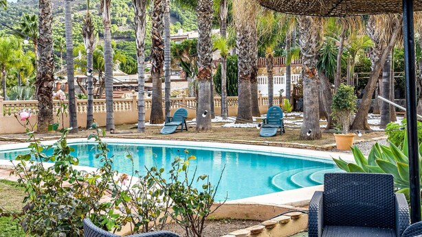 Une piscine entourée de palmiers et de chaises longues.