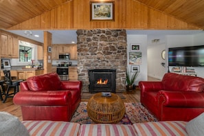 Smart TV, fireplace, books