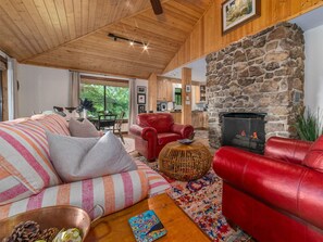 Smart TV, fireplace, books