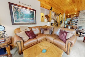 Televisión, chimenea y libros