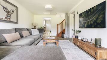 TV, fireplace, offices