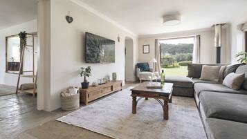 TV, fireplace, offices