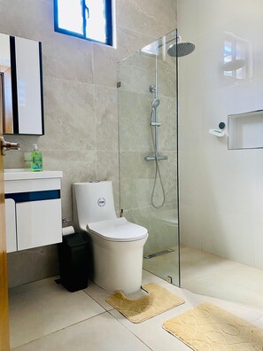 Hair dryer, towels, soap, shampoo