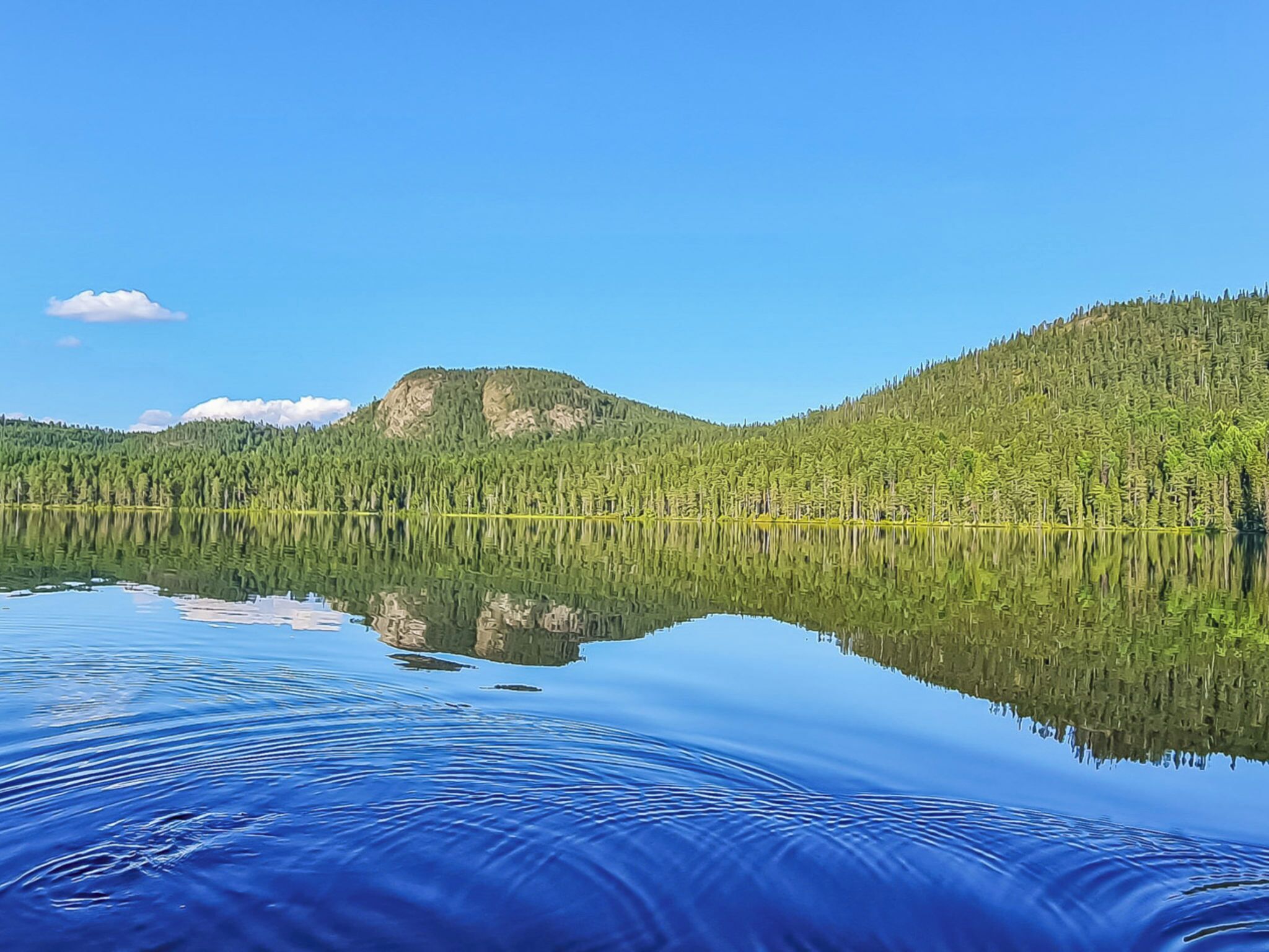 A calm lake with a clear reflection of the surrounding forest and a mountain in the distance.