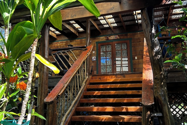 Welcome to the Lazy Lehua Cottage!