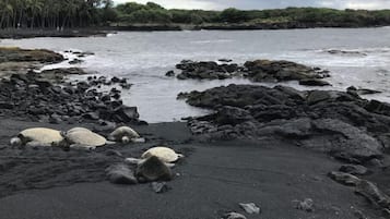 Espreguiçadeiras, toalhas de praia