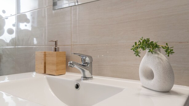 Un lavamanos de ba ño con un grifo moderno, un jabonera de madera y un jarrón blanco único con plantas verdes.