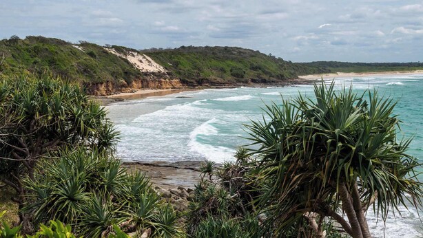 Un paisaje costero con playa, olas del océano y vegetación densa.
