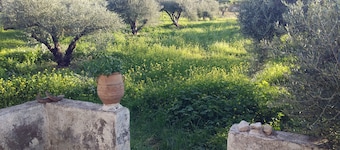 Villa Phyllia, una propiedad con historia