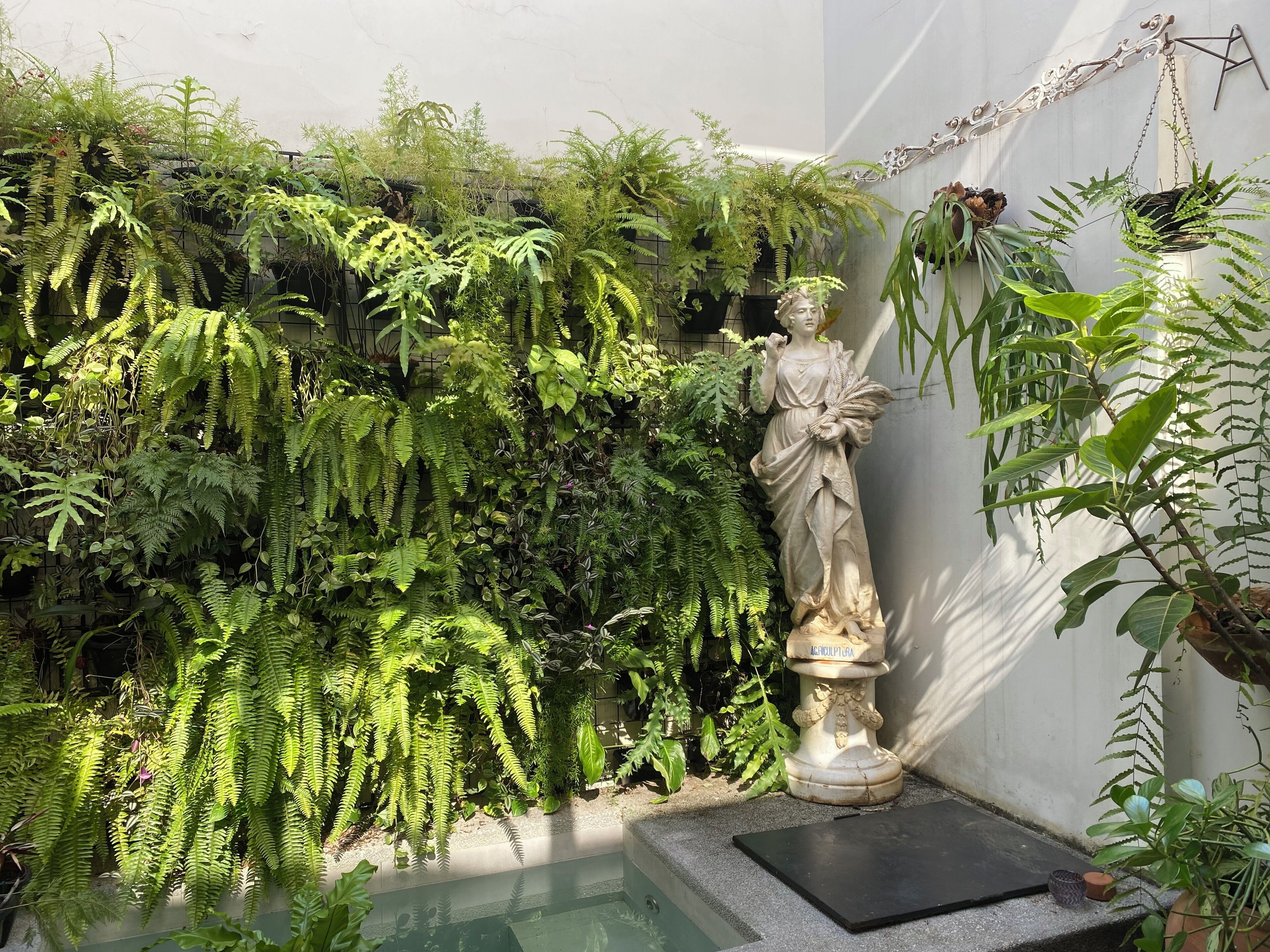 A statue in a garden with lush greenery and a small pool.