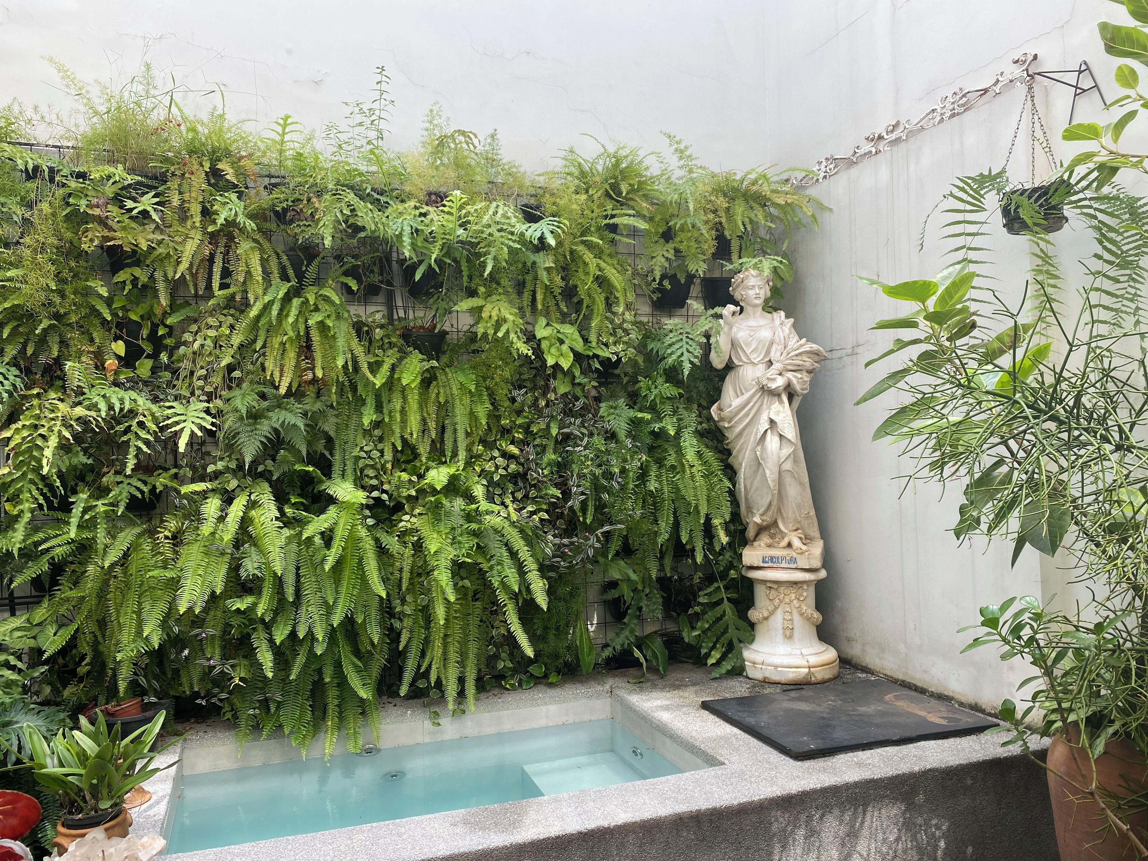 Áreas de la propiedad