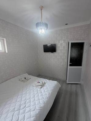 Une chambre à coucher avec un lit, une télévision, une porte et un lustre.
