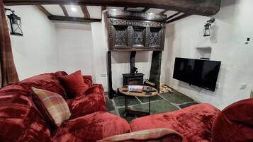 TV connectée, cheminée, lecteur de DVD, livres